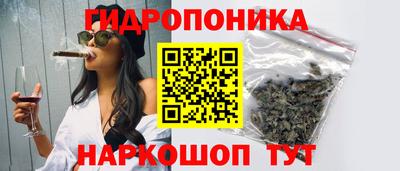 СК Краснодар