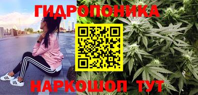 мяу мяу мука Краснознаменск